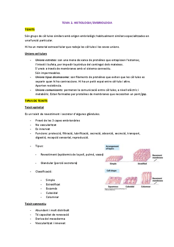 Miniatura del documento 2.pdf
