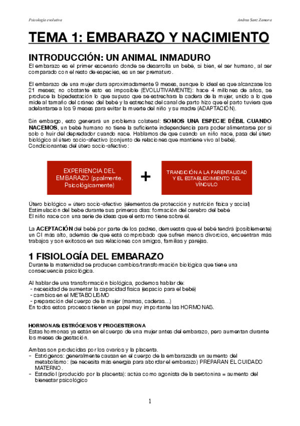 Miniatura del documento PSICOLOGIA-DE-LA-EVOLUCION-infancia-adolescencia.pdf