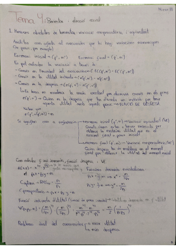 Miniatura del documento TEMA-4-i-exercicis.pdf