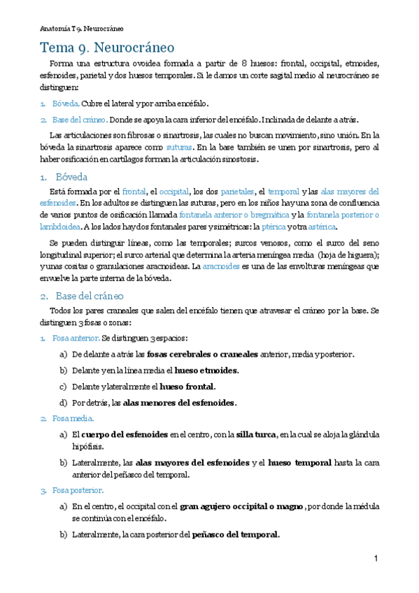 Miniatura del documento MT9. Neurocráneo.pdf