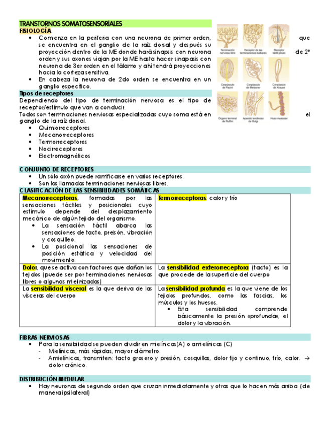 Miniatura del documento TRANSTORNOS-SOMATOSENSORIALES.pdf