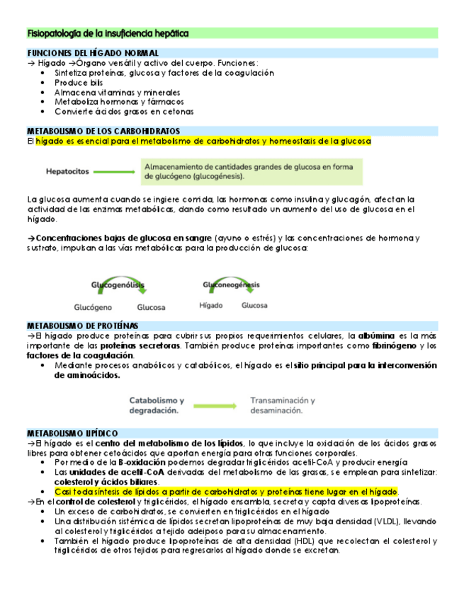 Miniatura del documento Fisiopatologia-de-la-insuficiencia-hepatica.pdf