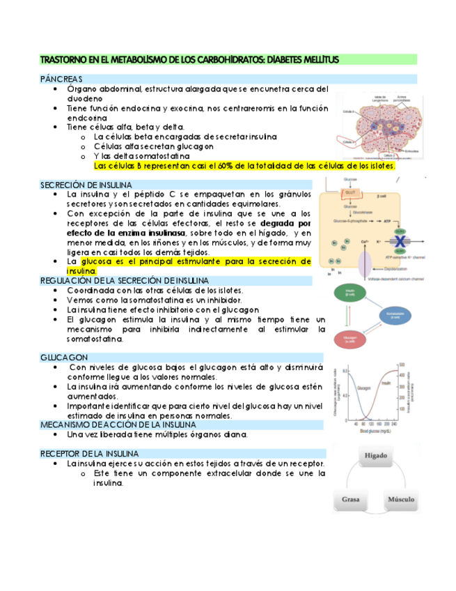 Miniatura del documento TRASTORNO-EN-EL-METABOLISMO-DE-LOS-CARBOHIDRATOS.pdf