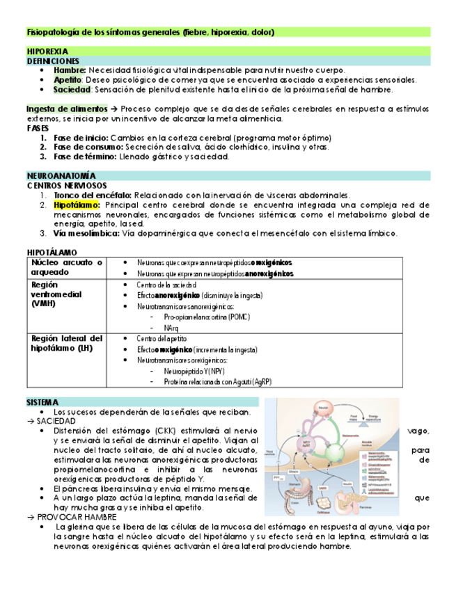 Miniatura del documento Fisiopatologia-de-los-sintomas-generales.pdf
