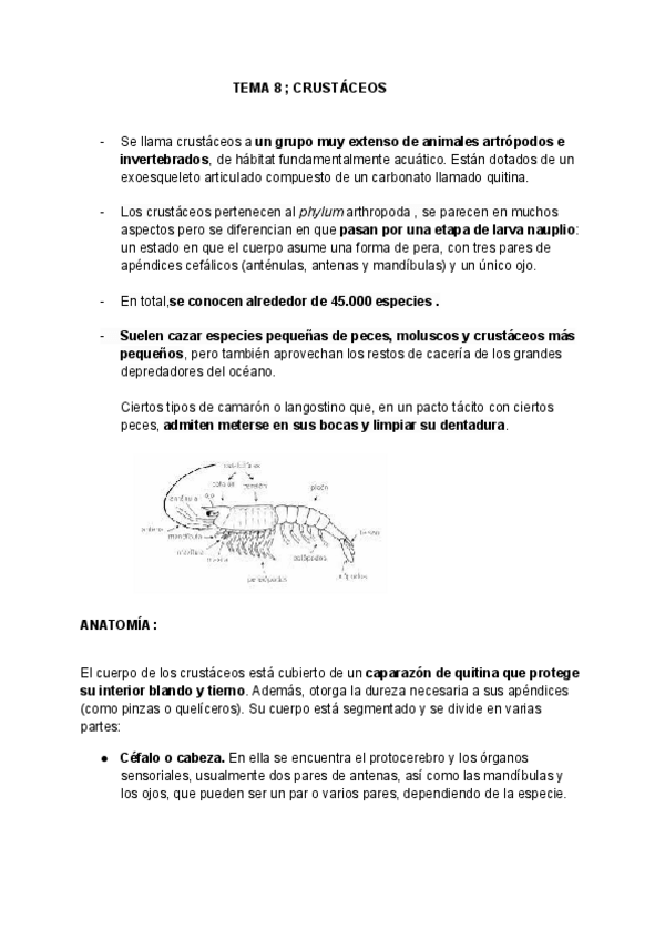 Miniatura del documento tema-8-13-1.pdf