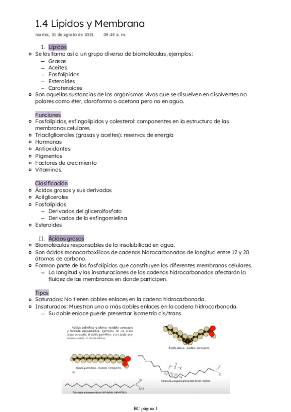 Miniatura del documento Lipidos-y-Membrana.pdf