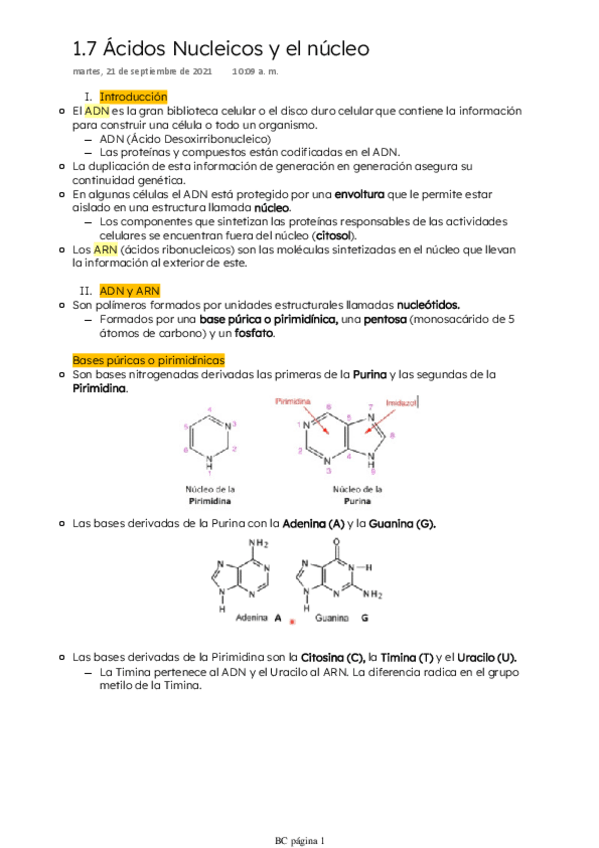 Miniatura del documento Acidos-nucleicos-y-el-nucleo.pdf