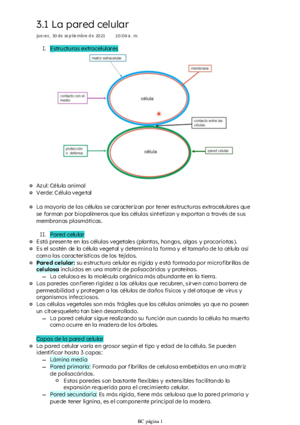 Miniatura del documento La-pared-celular.pdf