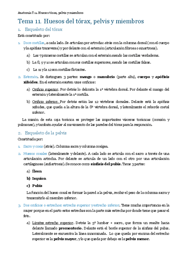Miniatura del documento MT11. Huesos tórax pelvis y miembros .pdf