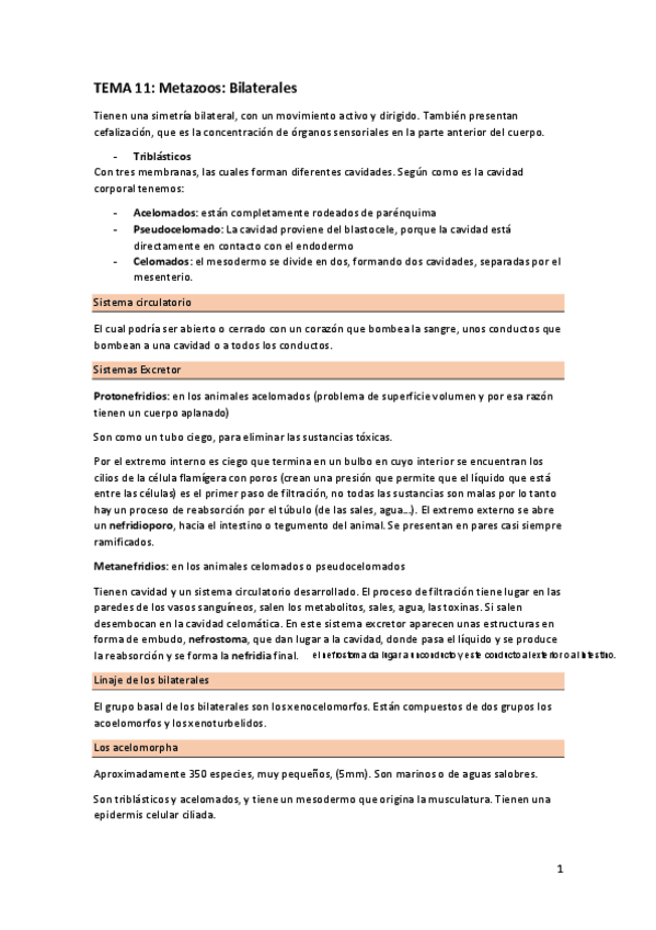 Miniatura del documento Zoologia-11-21-.pdf