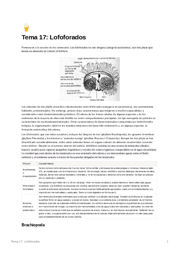 Miniatura del documento Tema17Lofoforados.pdf
