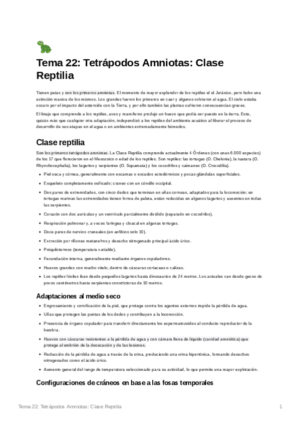 Miniatura del documento Tema22TetrpodosAmniotasClaseReptilia.pdf