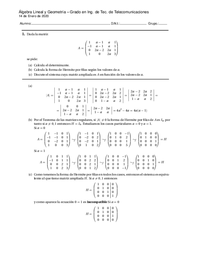 Miniatura del documento ALG-20-Enero-Resuelto.pdf