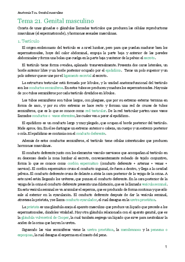Miniatura del documento MT21. Genital masculino .pdf