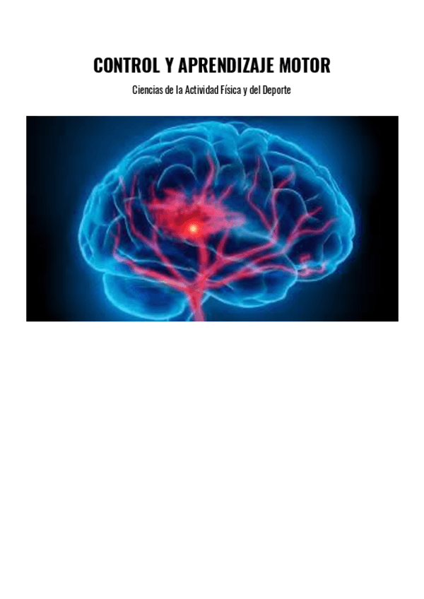 Miniatura del documento Todos-los-temas-control-motor.pdf