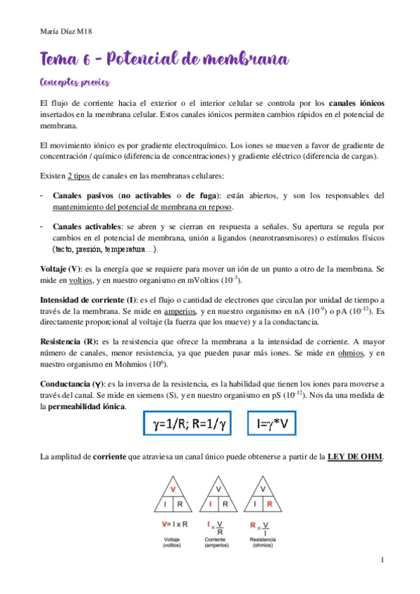 Miniatura del documento t6.pdf