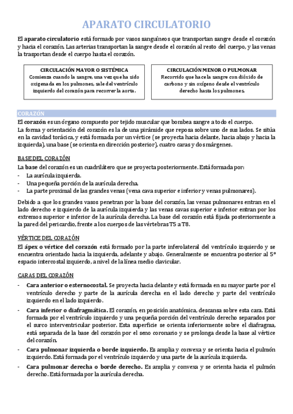 Miniatura del documento 11.pdf