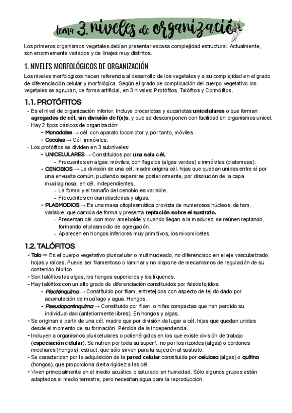 Miniatura del documento Tema-3.pdf