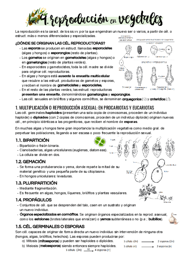 Miniatura del documento Tema-4.pdf