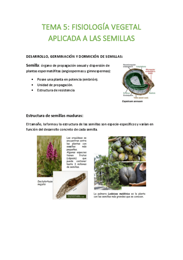 Miniatura del documento TEMA-5.pdf