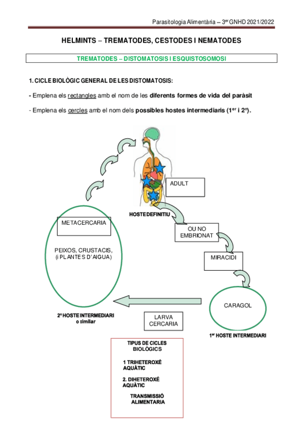 Miniatura del documento HELMINTS-2022.pdf