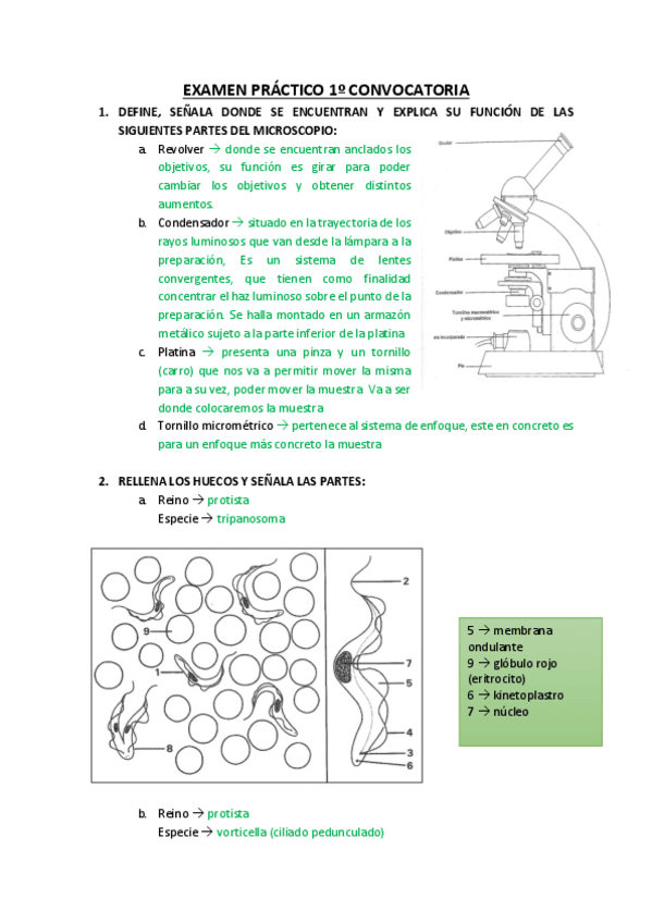 Miniatura del documento EXAMEN-PRACTICO-1o-CONVOCATORIA.pdf