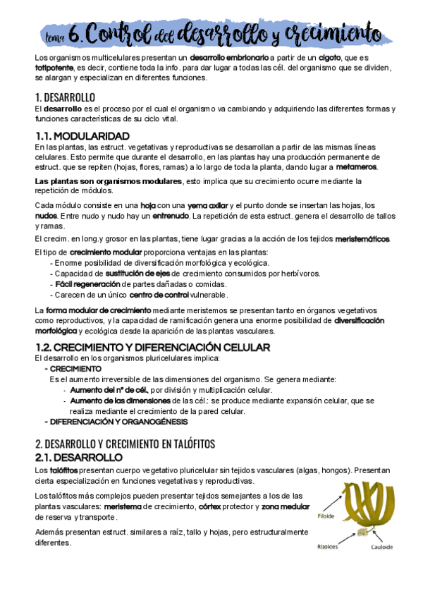 Miniatura del documento Tema-6.pdf