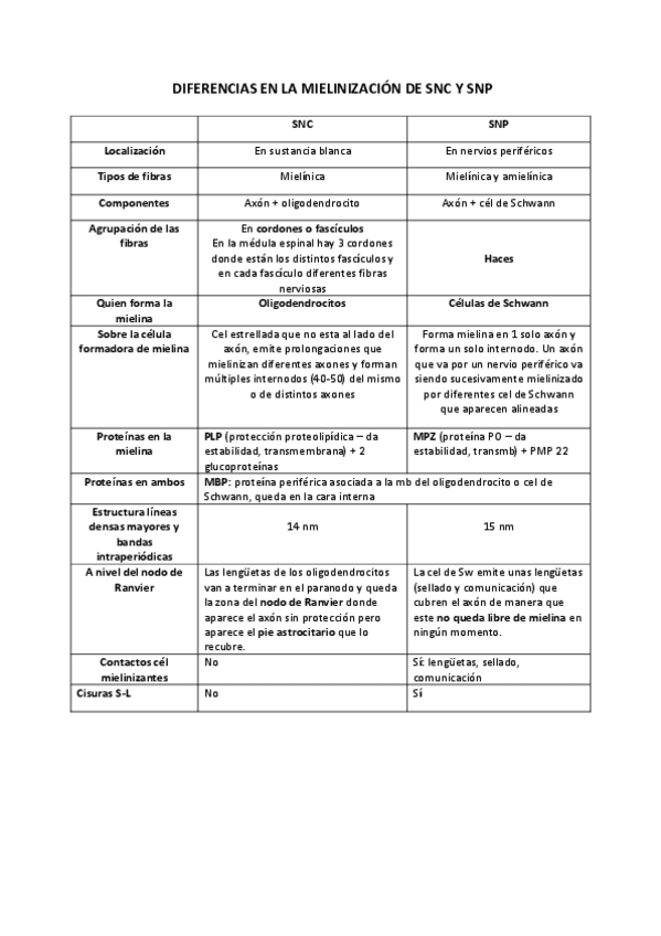 Miniatura del documento MIELINA-SNC-Y-SNP.pdf