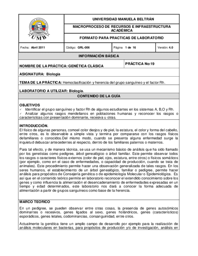 Miniatura del documento GUIA19.pdf