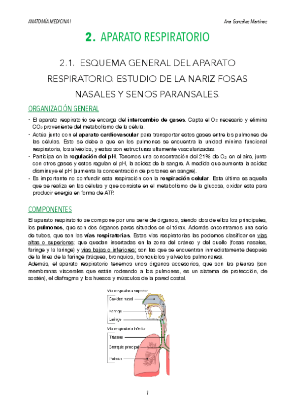 Miniatura del documento TEMA-2.pdf