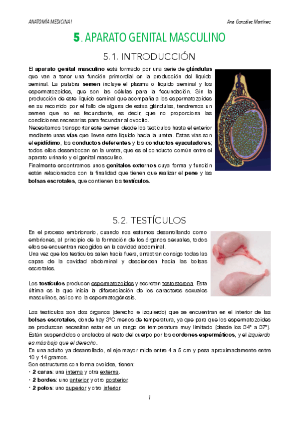 Miniatura del documento TEMA-5.pdf