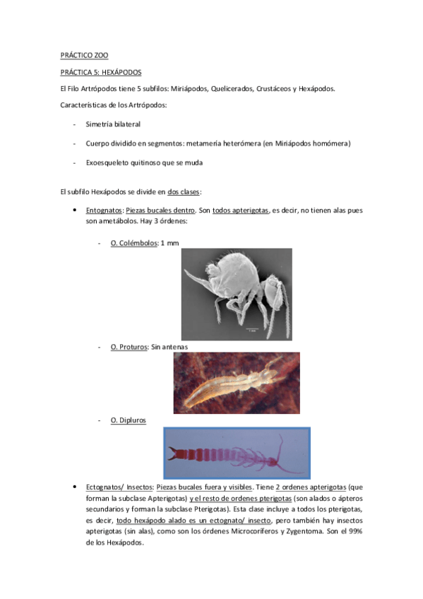 Miniatura del documento TODO PRÁCTICO.pdf