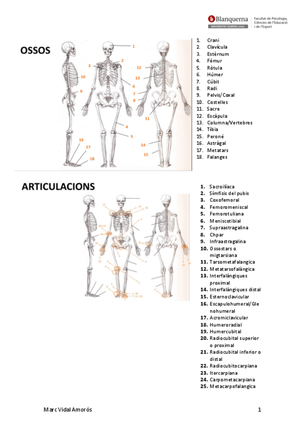 Miniatura del documento Apunts-1r-Parcial.pdf