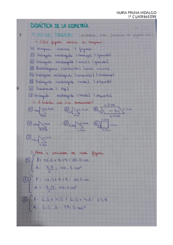 Miniatura del documento Parte-1-Geometria.pdf