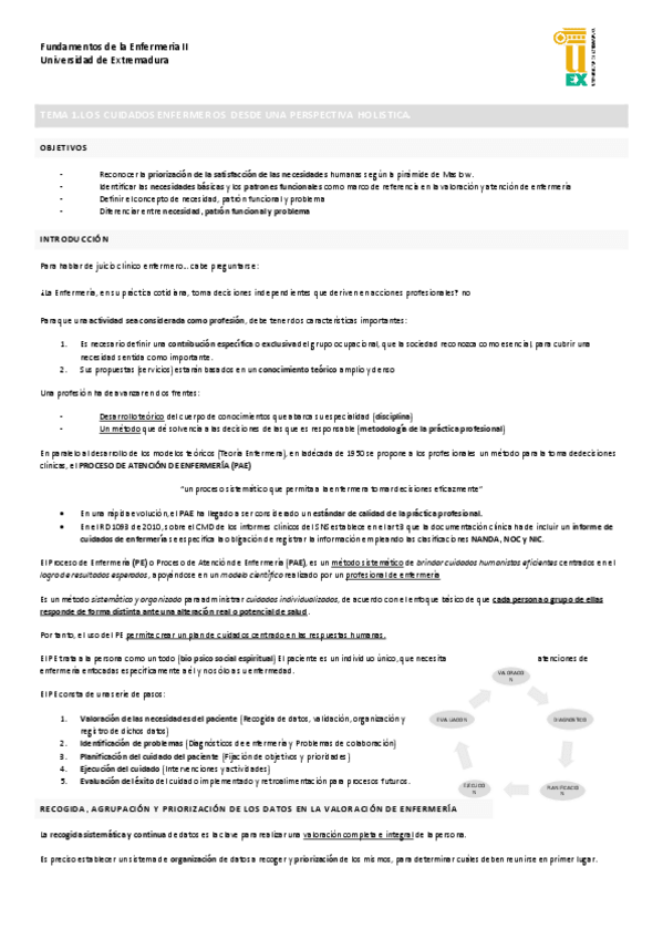 Miniatura del documento FUNDAMENTOS-DE-LA-ENFERMERIA-II-COMPLETO.pdf