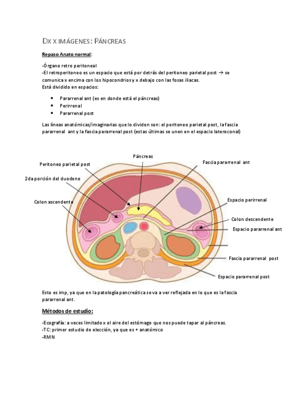 Miniatura del documento Dx-x-imagenes-Pancreas-2021.pdf