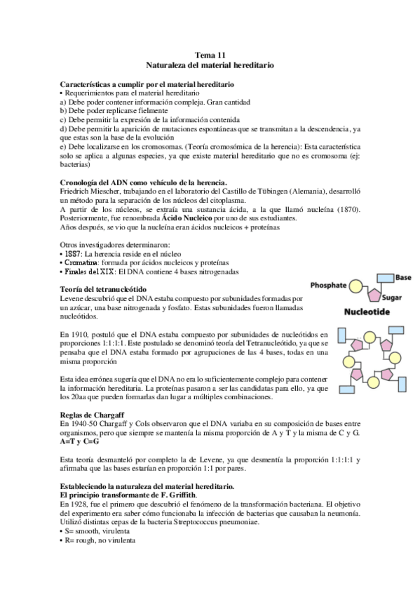 Miniatura del documento TEMA-11.pdf