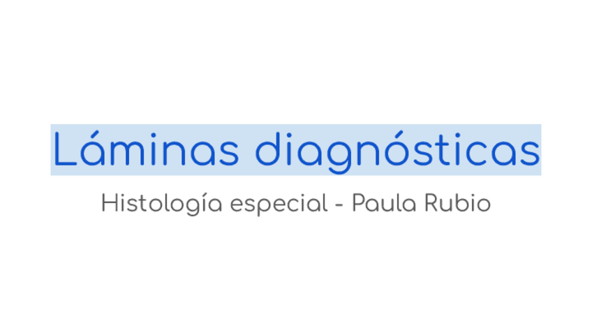 Miniatura del documento Laminas-diagnosticas.pdf