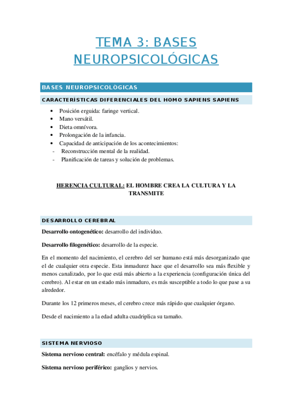 Miniatura del documento APUNTES-TEMA-3.docx