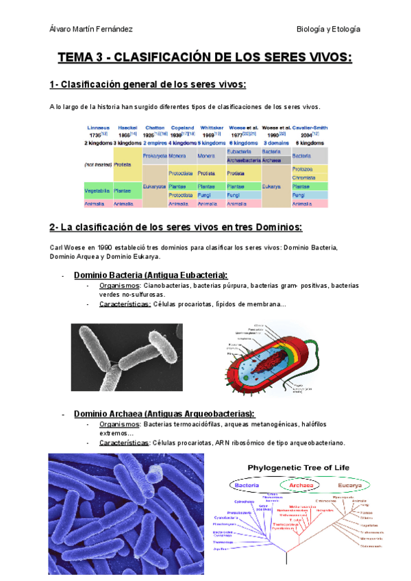 Miniatura del documento TEMA-3-CLASIFICACION-DE-LOS-SERES-VIVOS.pdf