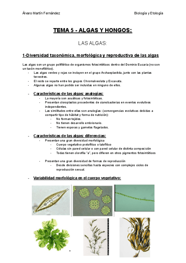 Miniatura del documento TEMA-5-ALGAS-Y-HONGOS.pdf