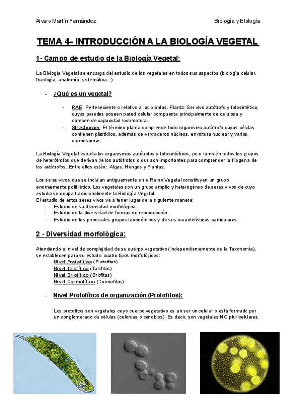 Miniatura del documento TEMA-4-INTRODUCCION-A-LA-BIOLOGIA-VEGETAL.pdf