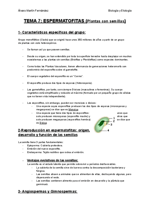 Miniatura del documento TEMA-7-ESPERMATOFITAS-Plantas-con-semillas.pdf