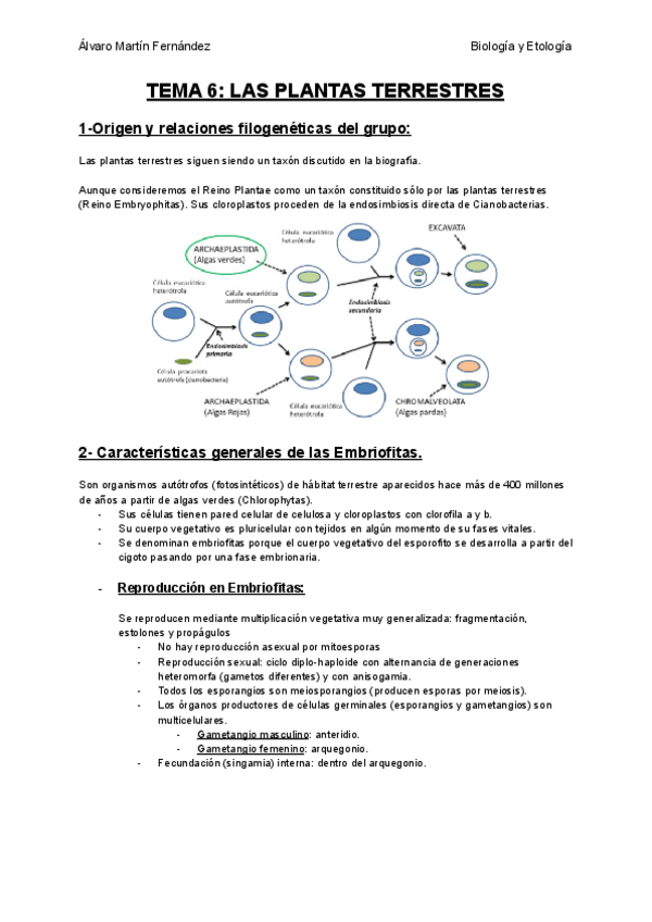 Miniatura del documento TEMA-6-LAS-PLANTAS-TERRESTRES.pdf