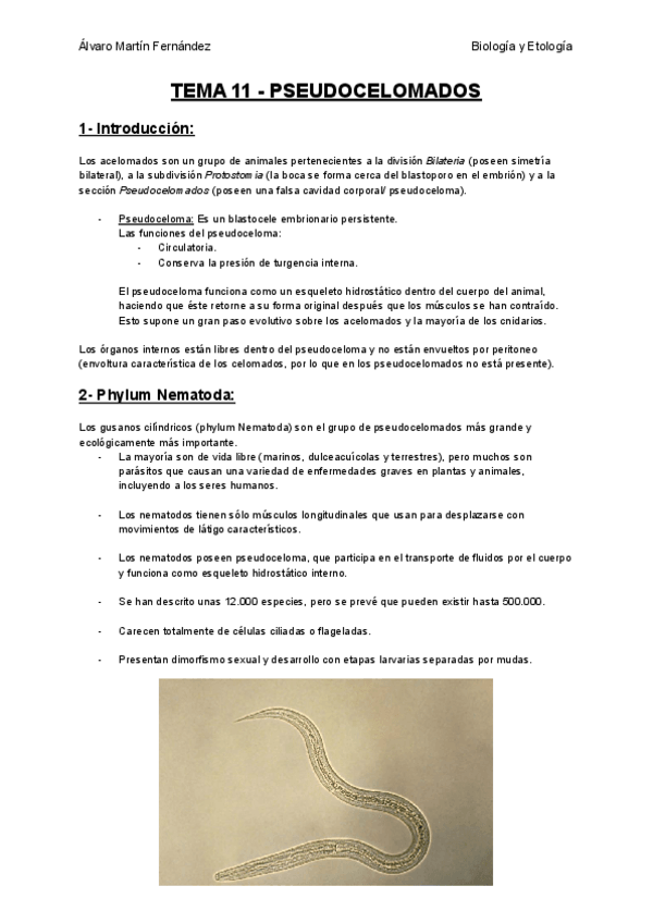 Miniatura del documento TEMA-11-PSEUDOCELOMADOS.pdf