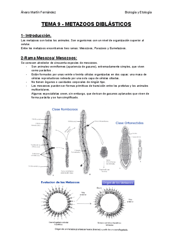 Miniatura del documento TEMA-9-METAZOOS-DIBLASTICOS.pdf