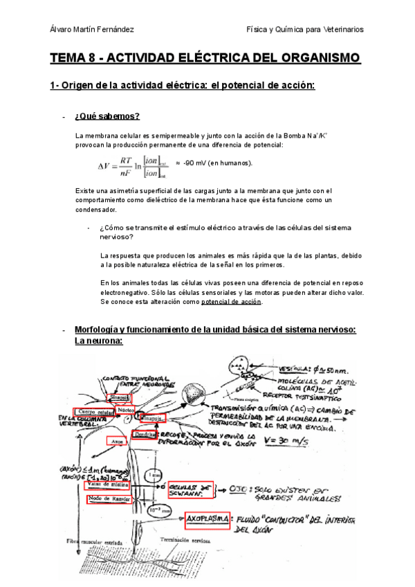 Miniatura del documento TEMA-8-ACTIVIDAD-ELECTRICA-DEL-ORGANISMO.pdf
