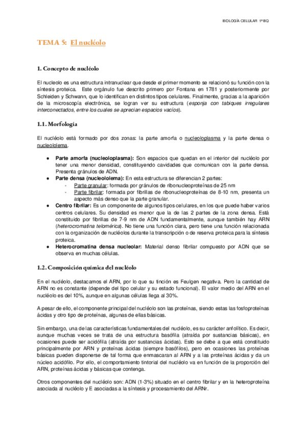 Miniatura del documento Tema-5-El-nucleolo.pdf