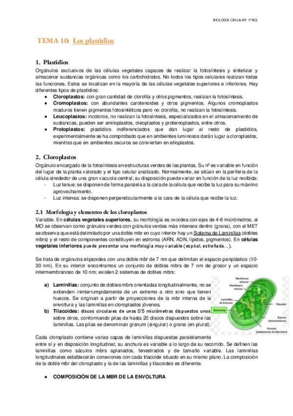 Miniatura del documento Tema-10-Los-plastidios.pdf