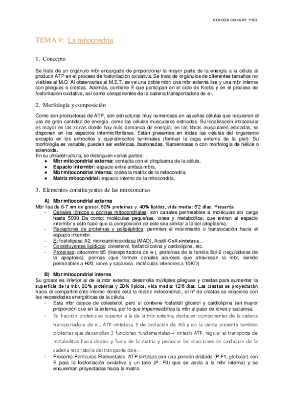 Miniatura del documento Tema-9-La-mitocondria.pdf